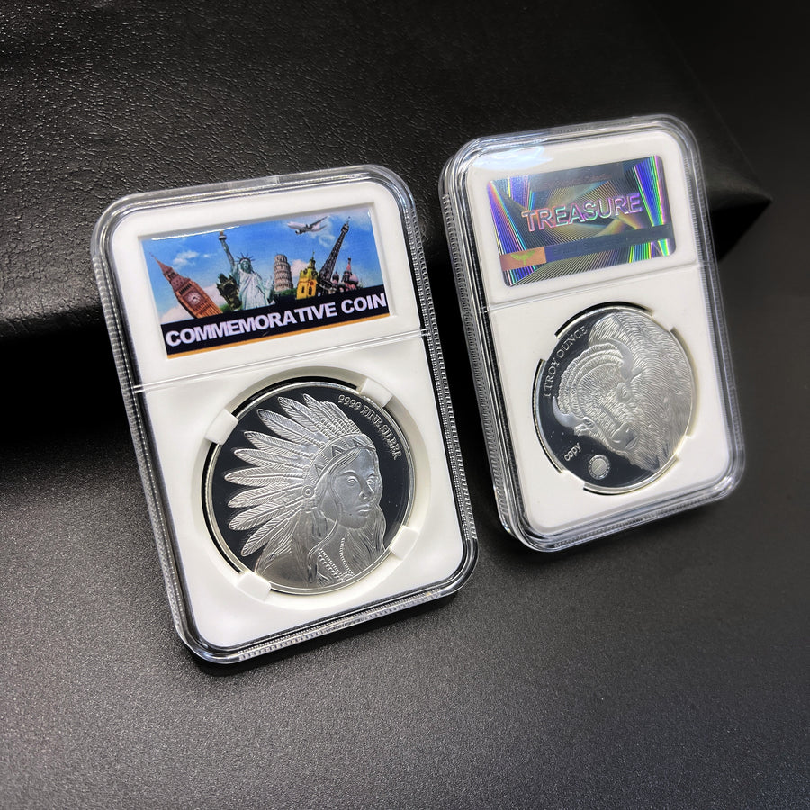 Native American & Buffalo Commemorative Coin – Western Heritage Collectible