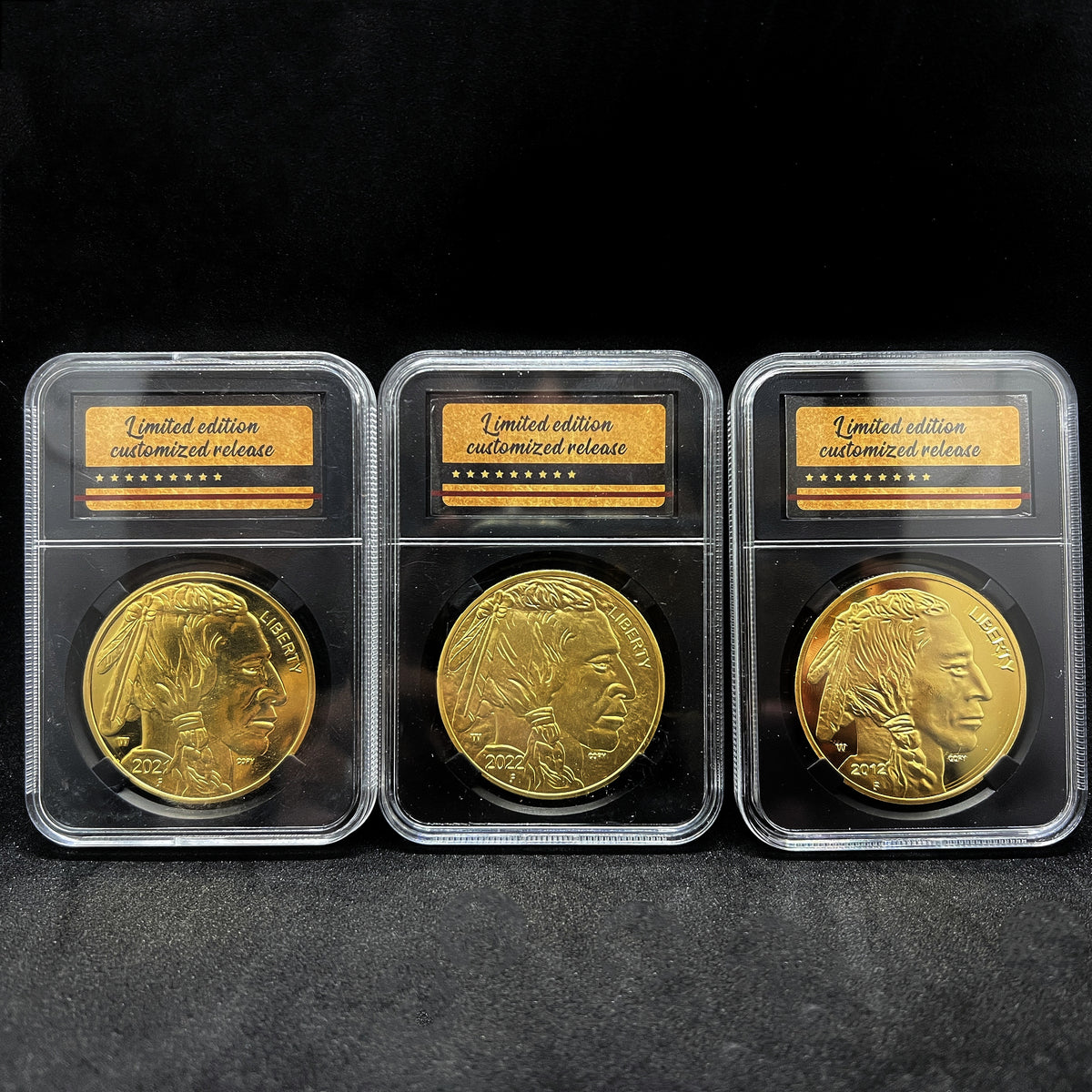 Classic Buffalo Tribute Commemorative Coin with Display Case – Gilded Gold-Tone Edition